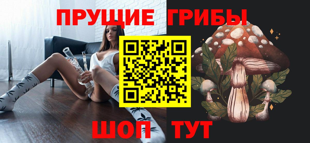 Галлюциногенные грибы Psilocybine cubensis Ливны